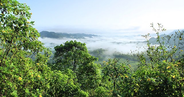 Come l’Ecuador trasforma l’Amazzonia in una zona cancerogena