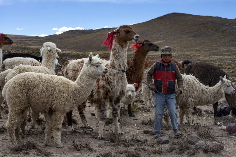 Il freddo delle Ande peruviane miete ogni anno migliaia di vittime