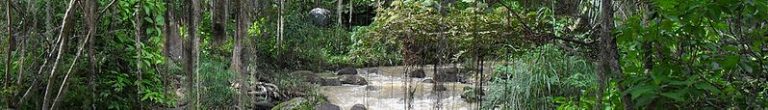 Colombia: ritrovati dopo 40 giorni quattro minorenni scomparsi nella foresta